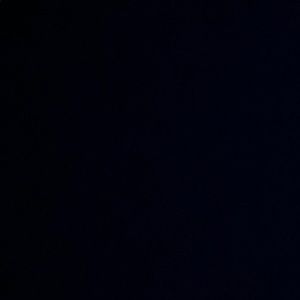 Meet your Posher, Sadie